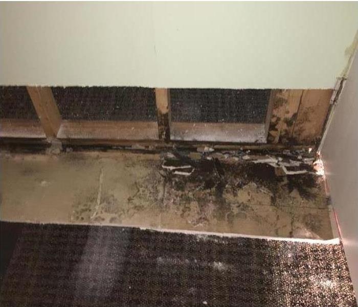 Mold damage behind drywall in a home.