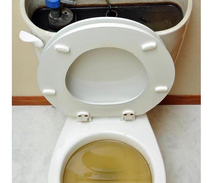 Overflowing broken toilet